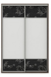 Шкаф-купе Tandem Braun-35 1800 (I)