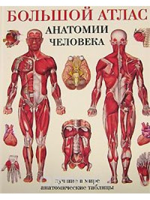 Книга Большой атлас анатомии человека