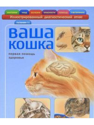 Книга Ваша кошка