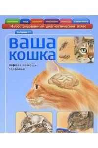 Книга Ваша кошка