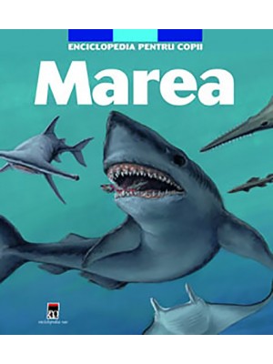 Marea