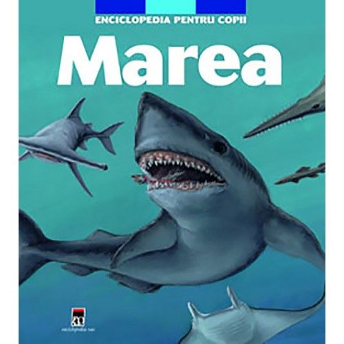 Marea