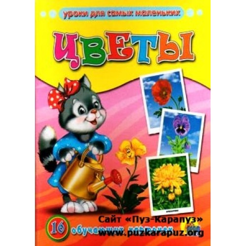 Цветы. Обучающие карточки