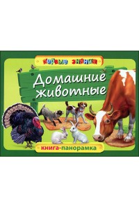 Книга Домашние животные