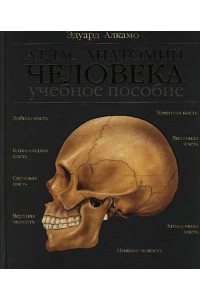 Книга Атлас анатомии человека