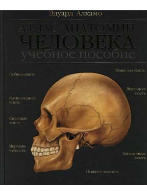 Книга Атлас анатомии человека