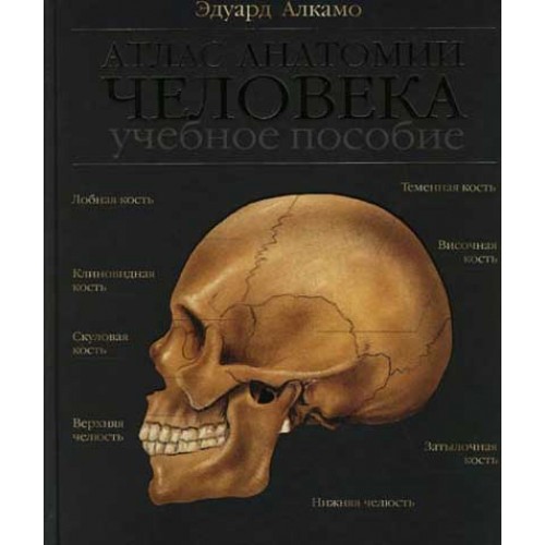 Книга Атлас анатомии человека