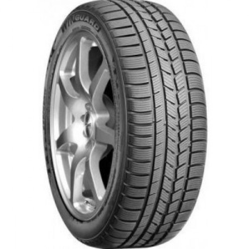 Шины Nexen 225/45 R17 WG-Sport