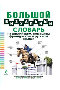 Книга Большой визуальный словарь на английском немецком французском и русском языках