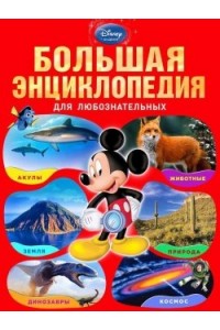 Книга Большая энциклопедия для любознательных (большой формат)