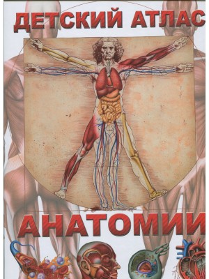 Книга Детский атлас анатомии