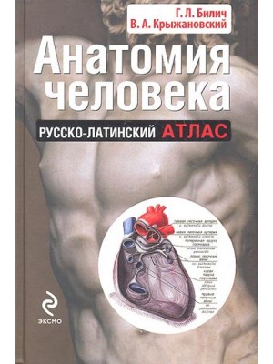 Книга Анатомия человека: русско-латинский атлас