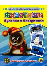 Книга Животные Арктики и Антарктики. Обучающие карточки. 