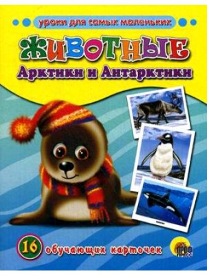 Книга Животные Арктики и Антарктики. Обучающие карточки. 