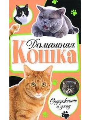 Книга Домашняя кошка. Содержание и уход