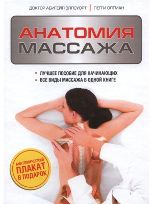 Книга Анатомия массажа