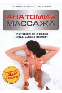 Книга Анатомия массажа