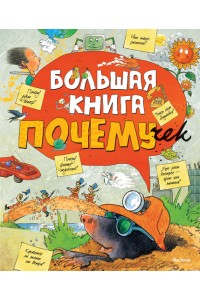 Книга Большая книга Почему?