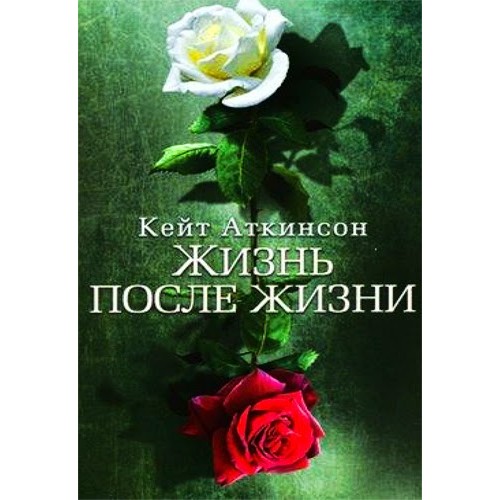 Книга Жизнь после жизни