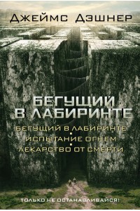 Книга Бегущий в Лабиринте