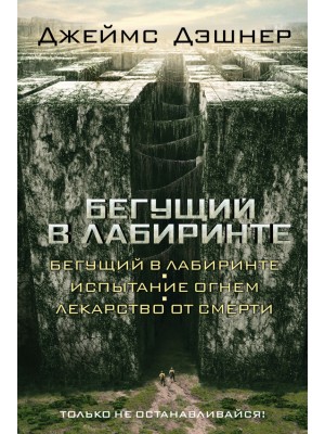 Книга Бегущий в Лабиринте