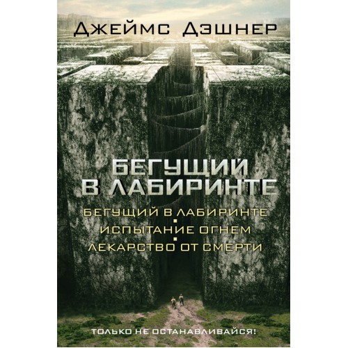 Книга Бегущий в Лабиринте