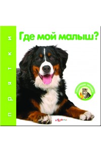 Книга Где мой малыш?(Прятки)24*325*32