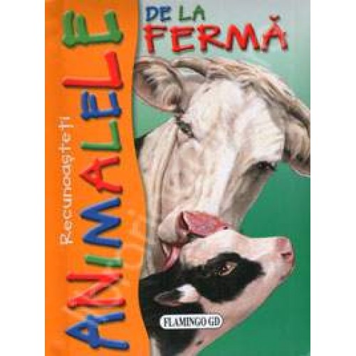 Recunoasteti animalele de la ferma (vacuta)