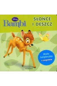 Bambi- soare si nor