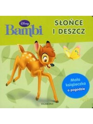 Bambi- soare si nor