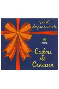 Cadou Craciun albastru