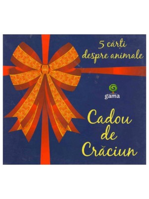 Cadou Craciun albastru