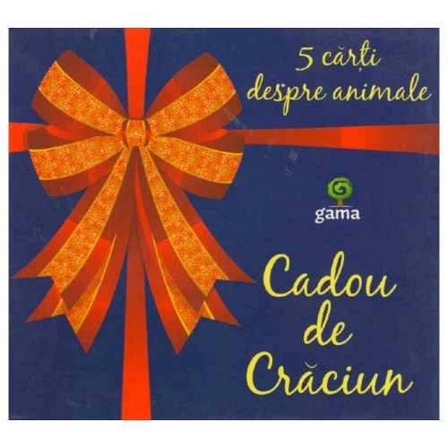 Cadou Craciun albastru