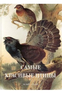 Самые красивые птицы