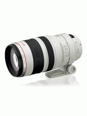 Canon EF 100-400 mm f/4.5-5.6L IS USM Zoom Lenses 