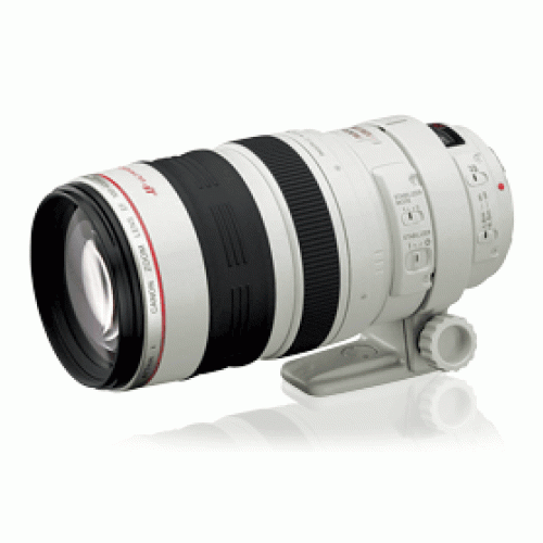 Canon EF 100-400 mm f/4.5-5.6L IS USM Zoom Lenses 