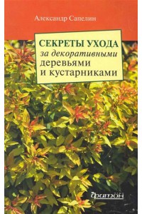 Секреты ухода за декоративными деревьями и кустарниками