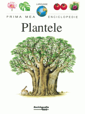 Plantele