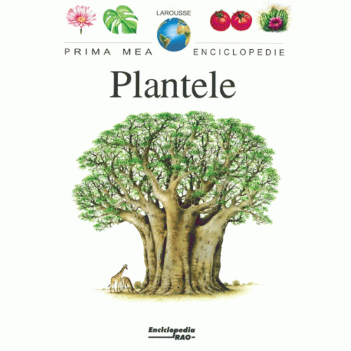 Plantele