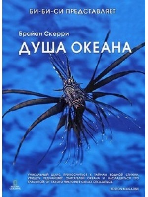 Книга Душа океана