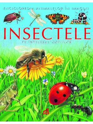 Insectele pe intelesul copiilor