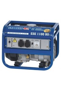 ENDRESS ESE 1100 BS
