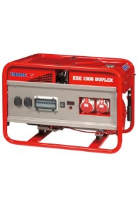 ENDRESS ESE 1306 DSG-GT ES Duplex