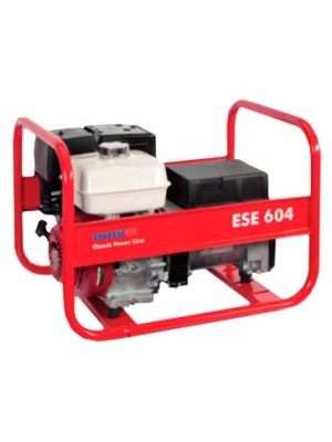 ENDRESS ESE 604 HS