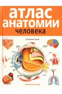 Книга Атлас анатомии человека . 2-е издание