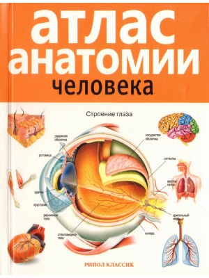 Книга Атлас анатомии человека . 2-е издание