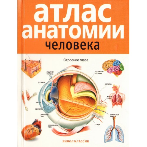 Книга Атлас анатомии человека . 2-е издание