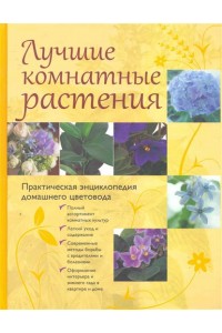 Лучшие комнатные растения