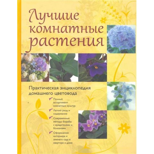 Лучшие комнатные растения