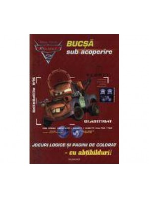 Masini 2  Bucsa sub acoperire